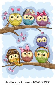 Seven Cute Owls is sitting on a branches