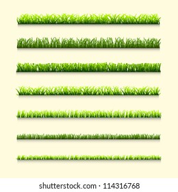 Seven different types of green grass for design.Vector eps10