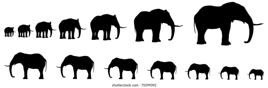 Seven Elefants In Line Silhouette Vector 01