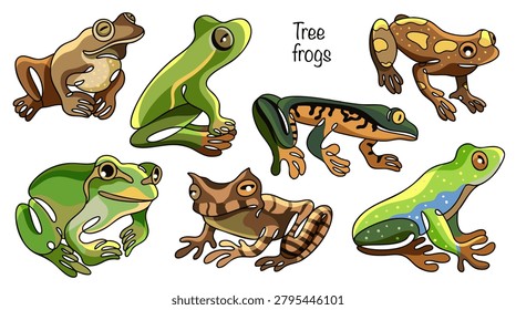Seven hand-drawn tree frogs. These colorful frogs feature vibrant colors, long legs, and large eyes. Colored vector for various uses.