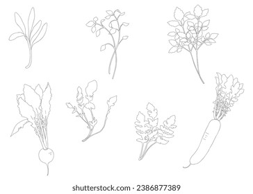 the seven herbs of spring hand drawn, seven vernal flowers, Japanese culture