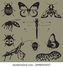 Una mano de Ilustración vectorial de siete insectos dibujada para el textil de fondo 