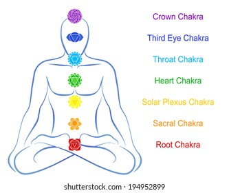 Seven main chakras beaded along the corresponding body regions of a meditating man. Vector illustration over white background. English labeling.