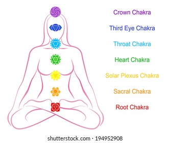 Seven main chakras beaded along the corresponding body regions of a meditating woman. Vector illustration over white background. English labeling.