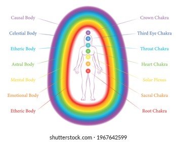 Seven main chakras and corresponding aura layers of a standing woman. Etheric, emotional, mental, astral, celestial and causal layer. Labeled vector illustration chart.
