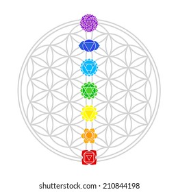 Seven main chakras match perfectly onto the junctions of the Flower of Life. Isolated vector illustration over white background.