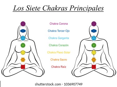 Seven Main Chakras Spanish Names Woman Stock Vector Royalty Free