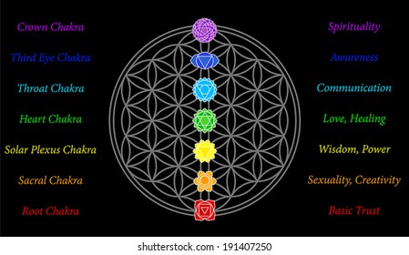 The seven main chakras and their meanings, which match perfectly onto the junctions of the Flower-of-Life-Symbol - black background.