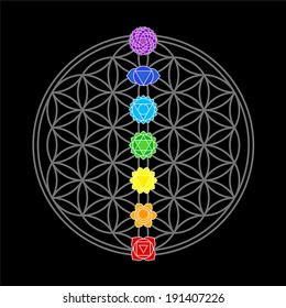 The seven main chakras, which match perfectly onto the junctions of the Flower-of-Life-Symbol - black background.