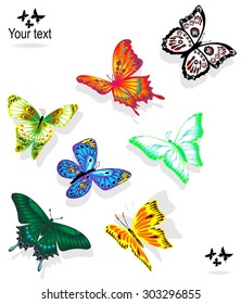 Seven multi-colored butterflies flying in different directions