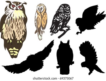 seven owls isolated on white background