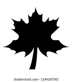 
Seven petal leaf usually in dried form, maple leaf 
