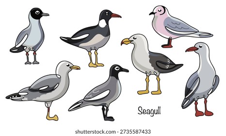 Seven seagulls. Hand-drawn illustrations of various seagull species. Beautiful seabirds with large wings and a variety of plumage patterns. Isolated vectors for various uses. 