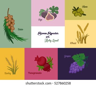 Seven species of the Holy Land, two grains and five fruits, Jewish holiday Shavuot, vector illustration