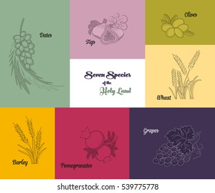 Seven species of the Holy Land, two grains and five fruits, Jewish holiday Shavuot, vector illustration