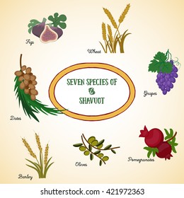 Seven species of the Shavuot, agricultural products - two grains and five fruits, which are traditionally eaten on Jewish holiday Shavuot. Vector illustration EPS 10