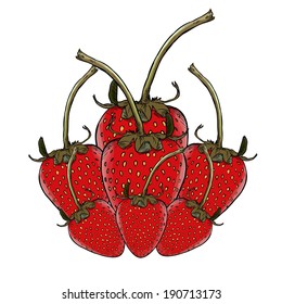 Seven Strawberries : isolated vector