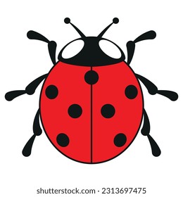 ladybird de siete puntos, ilustración de vector de color de ladybug de siete puntos, aislado en fondo blanco