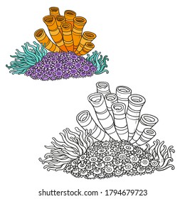 Several anemones and sponges. Linear coloring book drawing isolated on white background