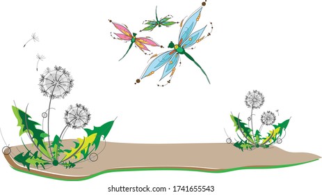 Several beautiful graceful dragonflies of different colors fly over the lawn with growing dandelions. Vector illustration for various types of decor.
