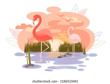 Several beautiful vector pink flamingos stand in the lake at sunset. Composition with tropical birds against the orange sky background  and big setting sun reflected in the water. Decorative element.