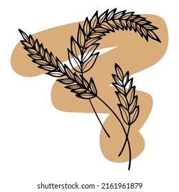 Several black and white spikelets (silhouettes). Logo. Vector illustration