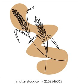 Several black and white spikelets (silhouettes). Logo. Vector illustration