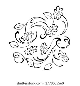 several blooming stylized flowers on stems with leaves and curls in black lines on a white background