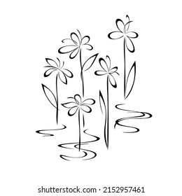 several blossomed stylized flowers on stems with leaves in black lines on a white background