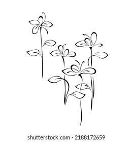 several blossomed stylized flowers on stems with leaves in black lines on a white background