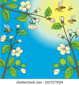 Several branches of an apple-tree in bloom with bees. Blue sky background. Place for text