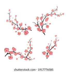 several branches with scarlet flowers on a transparent background