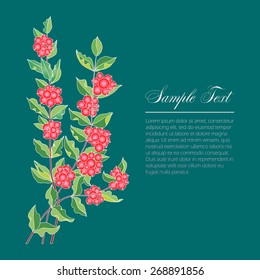 several branches Symphoricarpos