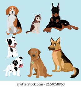 several breeds of dogs in different poses