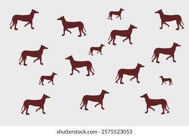 Several brown dogs on a white background
