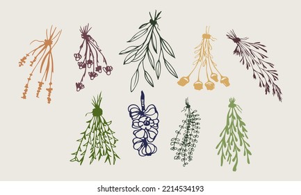 Several bundles of dried herbs for the decoration of medical articles and websites, for a pattern on fabric, clothes and craft paper. For all paper printing and printing on accessories