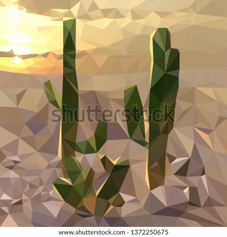 several cacti on the background of the sunset in the desert, evening landscape,multicolored mosaic,triangulation