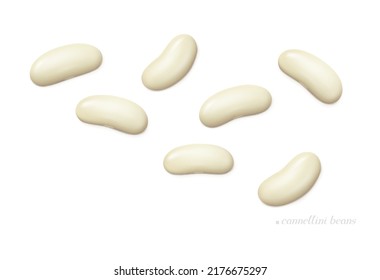 Several cannellini beans isolated on white background. Top view. Realistic vector illustration.