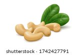 Several cashew nuts (kernels) with two green leaves isolated on white background. Realistic vector illustration.