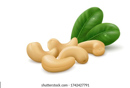 Several cashew nuts (kernels) with two green leaves isolated on white background. Realistic vector illustration.