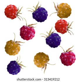 
several colored berries on a white background