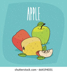 Several colorful ripe apples with tiny leaves, whole and cut into pieces. Visible flesh and seeds. Isolated blue background. Realistic hand drawn style. Lettering Apple. Vector illustration