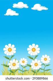 Several daisies set against a blue sky with fluffy clouds