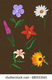 Several different vector flowers.