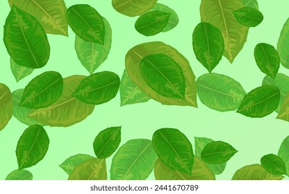several fallen lime leaves on a green gradient background