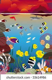 several fish swimming between coral reef at sunset