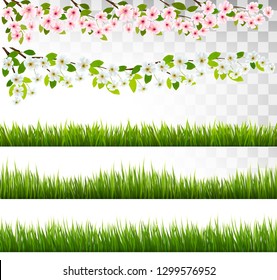 Several Grass And Blossom Of Cherry And Sakura Borders. Vector.