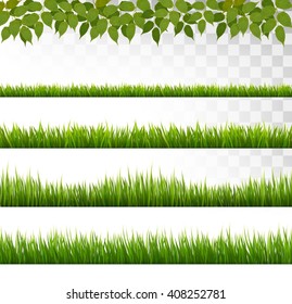 Several grass borders. Vector.