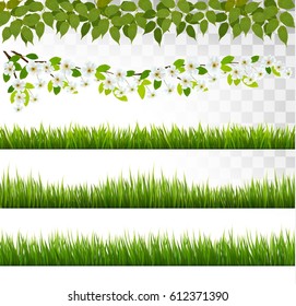 Several grass borders. Vector.