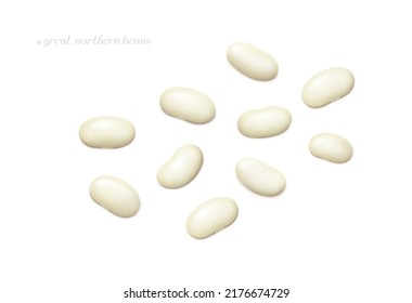 Several great northern beans isolated on white background. Top view. Realistic vector illustration.